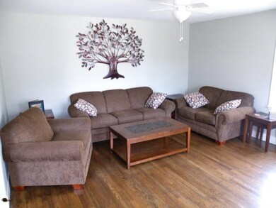 510 N Hudson St, Lowell, MI 49331 - photo 6