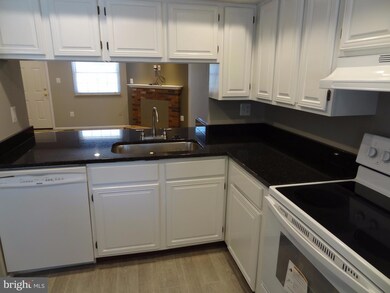 5924 Rowanberry Dr, Elkridge, MD 21075 - photo 3