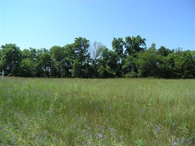 1 Brick Chapel Rd, Constantine, MI 49042 - photo 2