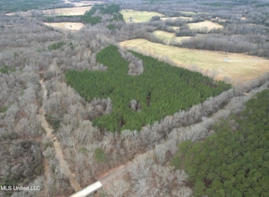DJI_0572