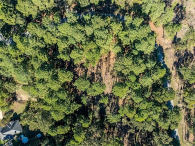 Lot 6 Pintail Dr, Flint, TX 75762 - photo 6