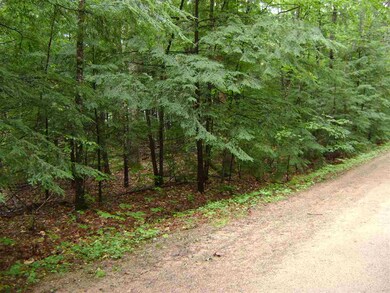 00 Bracco, Moultonborough, NH 03254 - photo 6