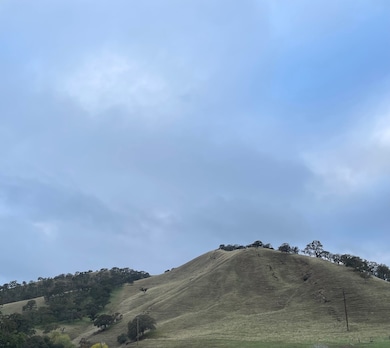 16711 Marsh Creek Rd unit 164, Clayton, CA 94517 - photo 2