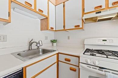 18 Bramber ii, Rochester, NH 03867 - photo 7