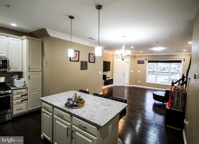 23550 Belvoir Woods Terrace, Ashburn, VA 20148 - photo 6