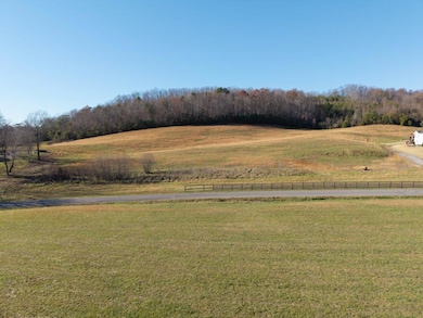 Tract 2 County Road 656, Athens, TN 37303 - photo 2
