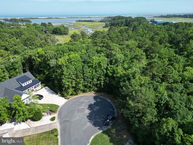 9321 Mountain Laurel Ct, Berlin, MD 21811 - photo 2