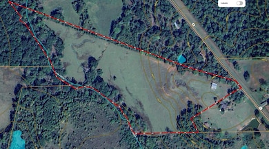 16202 Texas 87 S, Shelbyville, TX 75973 - photo 7