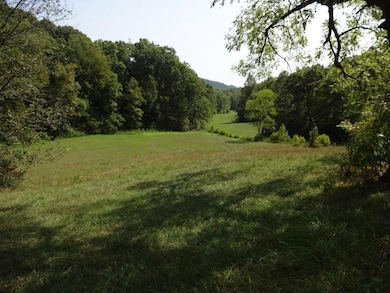 0 Blown Timber Rd, Newton, WV 25266 - photo 6