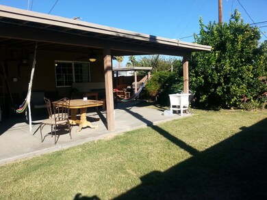 Back yard 4