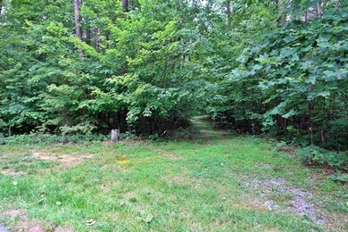 Shivas Crest Lot 70BIMG_0065
