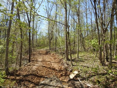 821 Ben Baker Rd, Somerset, KY 42501 - photo 3