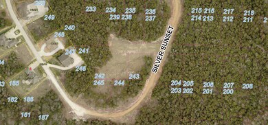 Lot 241 Silver Sunset Ln, Ruth B Rural Township, MO 65686 - photo 4