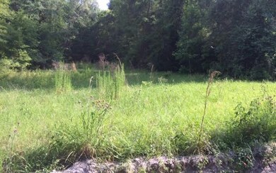 0 Rogers Rd unit 90734, Lake City, FL 32025 - photo 3