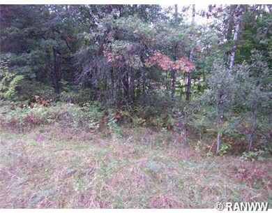 0 N Point Lake Rd, Webster, WI 54893 - photo 4