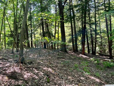 23 Woodpecker Ct, Coxsackie, NY 12051 - photo 7