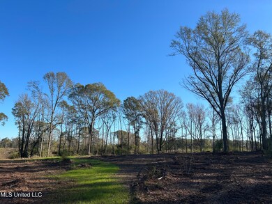 No Warren Cook Rd, Mendenhall, MS 39114 - photo 6