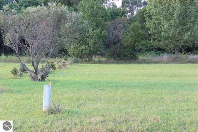 TBD Bonanza Ln unit 2 LOTS, Lake Isabella, MI 48893 - photo 2
