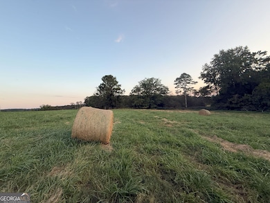 9 W L Williams Rd, Commerce, GA 30530 - photo 7