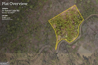 31 Yonah Lake Rd, Toccoa, GA 30577 - photo 3