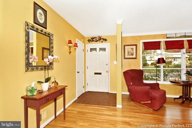 3123 Christine Dr, Beltsville, MD 20705 - photo 5