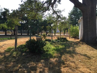 16036 Bald Hill Rd SE, Yelm, WA 98597 - photo 3