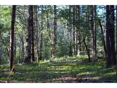 0 Davis Creek Rd, Selma, OR 97538 - photo 3