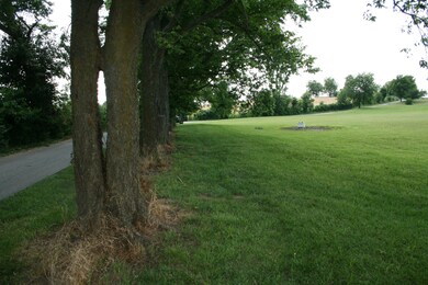 Tract 1B Bradford Ln, Harrodsburg, KY 40330 - photo 2