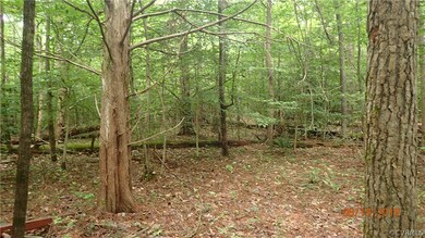Typical Hardwoods Found on the Subject Site.