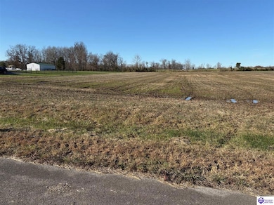 161 Owl Creek Dr, Vine Grove, KY 40175 - photo 2