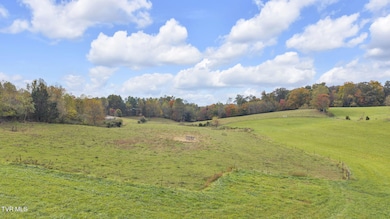 000 Matson Rd, Jonesborough, TN 37659 - photo 2