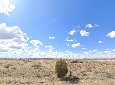 4934 Saddlehorn Rd unit Snowflake AZ 85937, Snowflake, AZ 85937 - photo 3