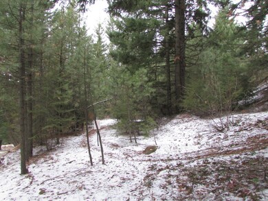 0 Highland Lp unit 721902, Ronald, WA 98940 - photo 5