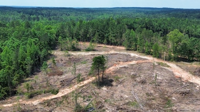 000 Cr 5217, Ethel, MS 39067 - photo 3