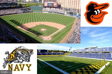 7782 Moonfall Ct, Pasadena, MD 21122 - photo 6