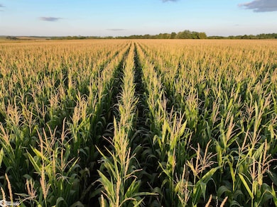 19980 173rd Ave, Sigourney, IA 52591 - photo 2