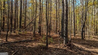 0 Jones Ferry Rd unit 2, Palmetto, GA 30268 - photo 4