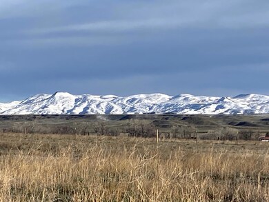 IMG_2353