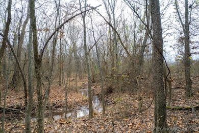 59 S 4320 Rd, Big Cabin, OK 74332 - photo 6