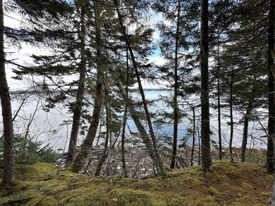 102 Naskeag_003