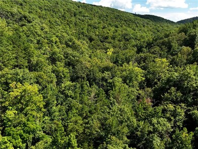 TBD 8872, Deer, AR 72628 - photo 4