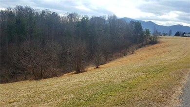 9999 Justice Dr, Leicester, NC 28748 - photo 5