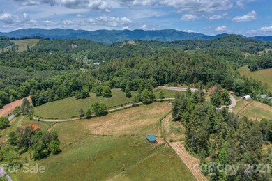 43 Don Felmet Rd, Leicester, NC 28748 - photo 4