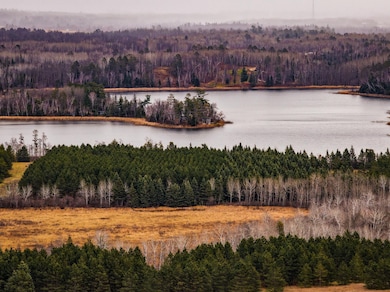 TBD 141st Ave, Bagley, MN 56621 - photo 2