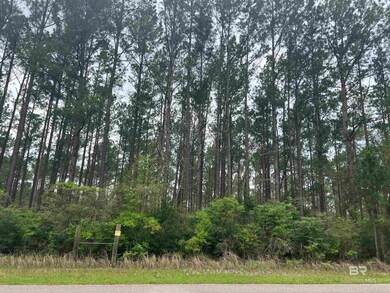 0 Bermuda Ln unit 4 372651, Seminole, AL 36574 - photo 6