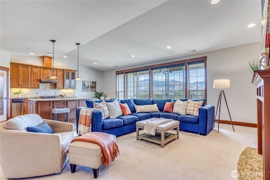 Views from the living room