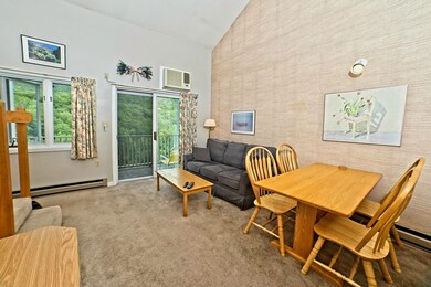 36 Lodge Rd unit A302, Lincoln, NH 03251 - photo 6