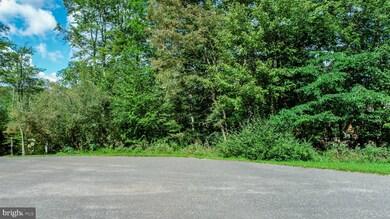 103 Birdsong Way, McHenry, MD 21541 - photo 4