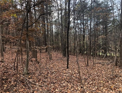 209 Alice Moss Ln, Alto, GA 30510 - photo 6