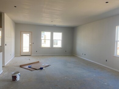 Lot 161 Living Room